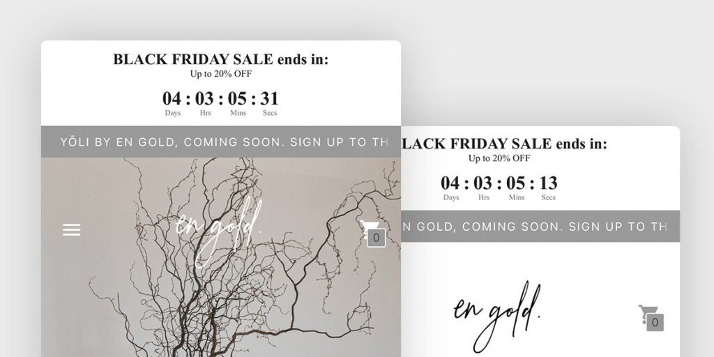 Highlighting Any Special Shipping Promotions or Discounts.