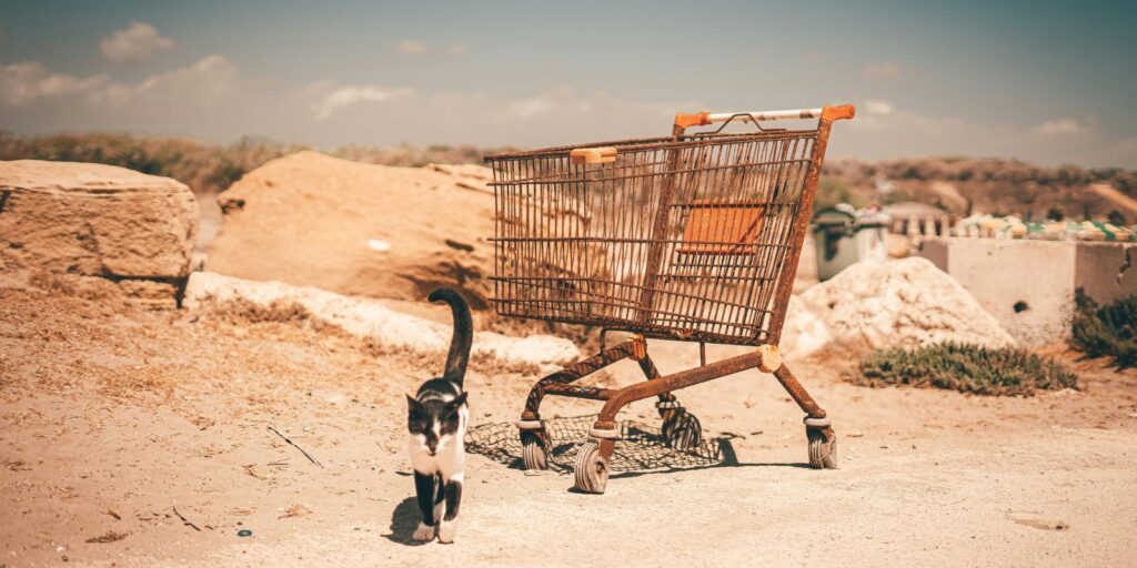 Reducing Shopify Cart Abandonment Rates